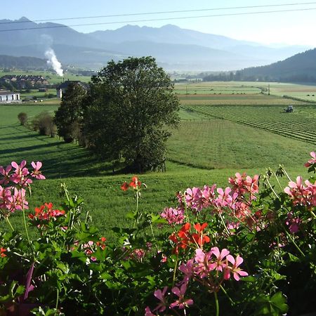 Ferienwohnungen Trattner Mauterndorf  Exterior foto