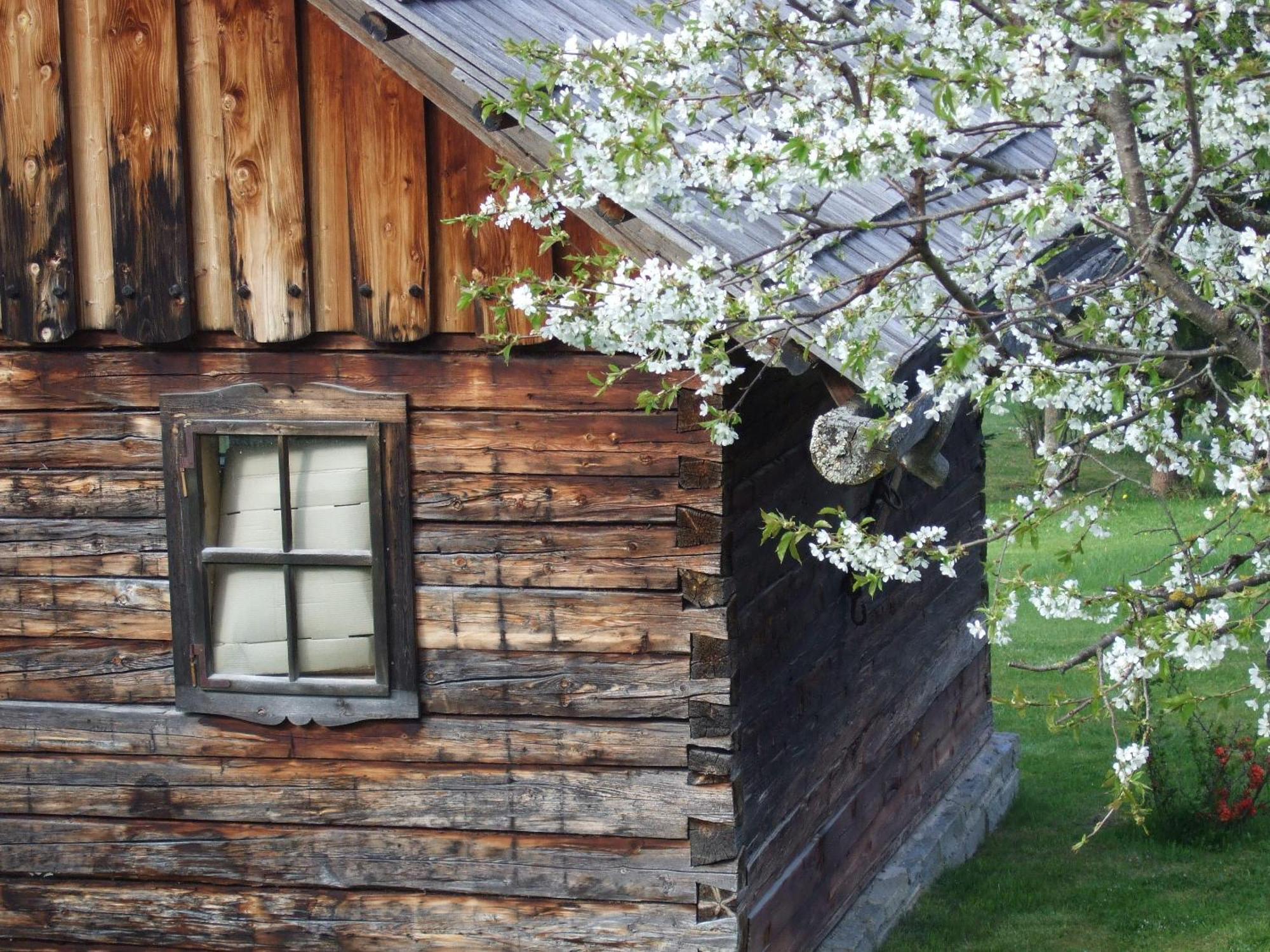 Ferienwohnungen Trattner Mauterndorf  Exterior foto